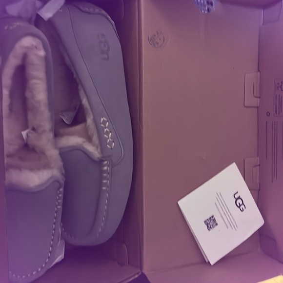 Woman’s Uggs Brand new still in box never been worn whatsoever - Picture 1 of 4